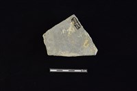 陶片藏品圖，第2張